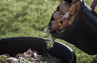 Organic Compost